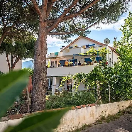 Ecer 4* Güzelçamlı