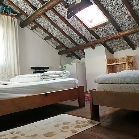 Ecer 4* Güzelçamlı